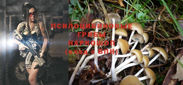 мескалин Балахна