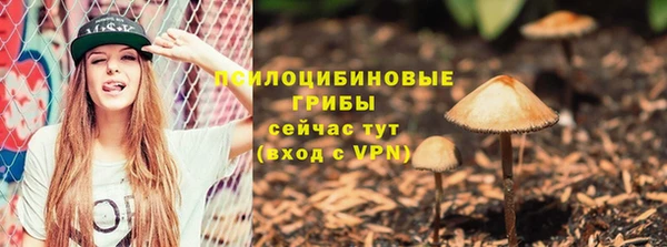 дмт Баксан