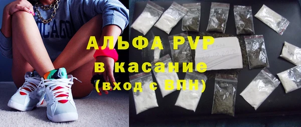 PSILOCYBIN Балабаново